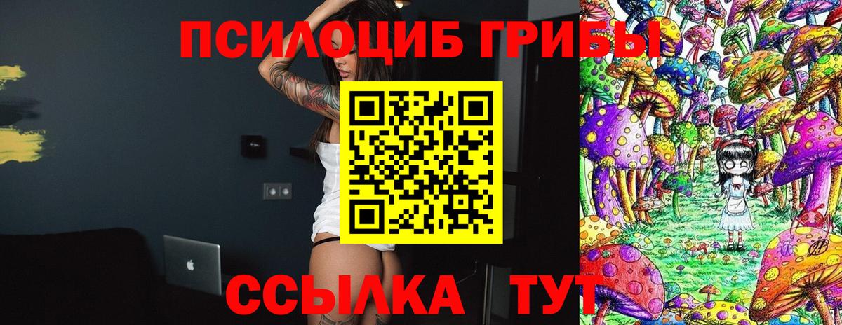 Псилоцибиновые грибы Psilocybine cubensis  Вход с VPN  дарнет шоп  Обь 