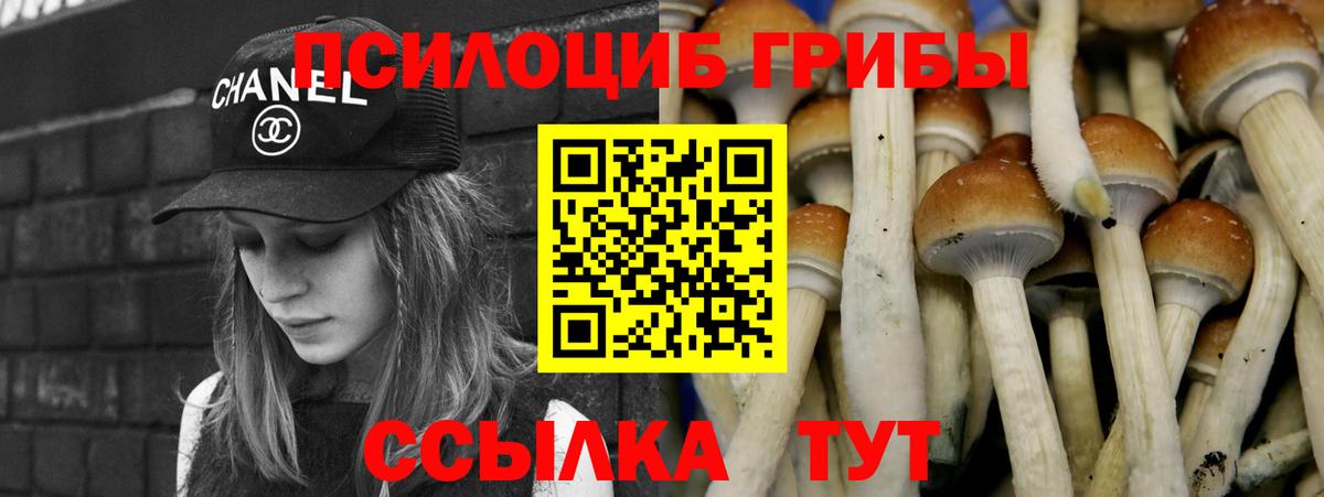 Псилоцибиновые грибы GOLDEN TEACHER Обь
